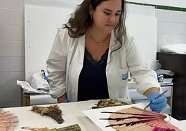 Una restauradora en pleno trabajo para recuperar un abanico.