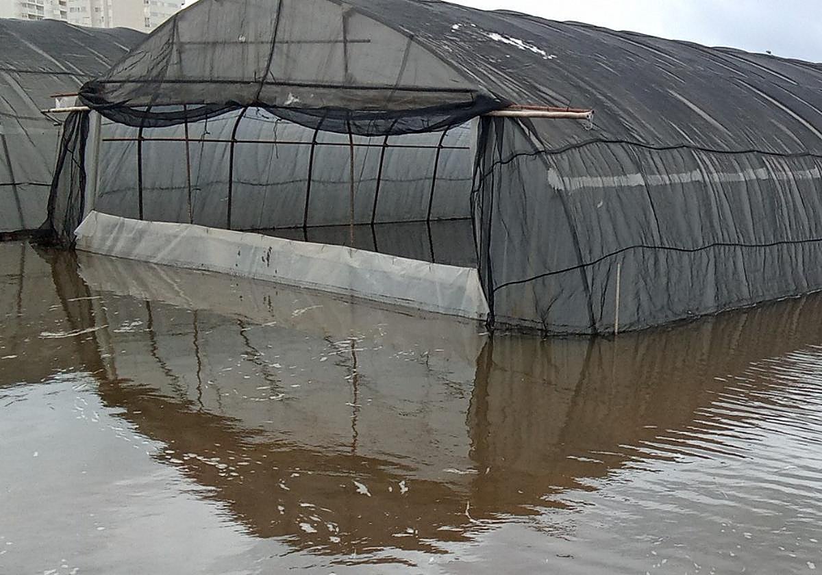 Parcela de cultivo inundada tras el temporal del lunes.
