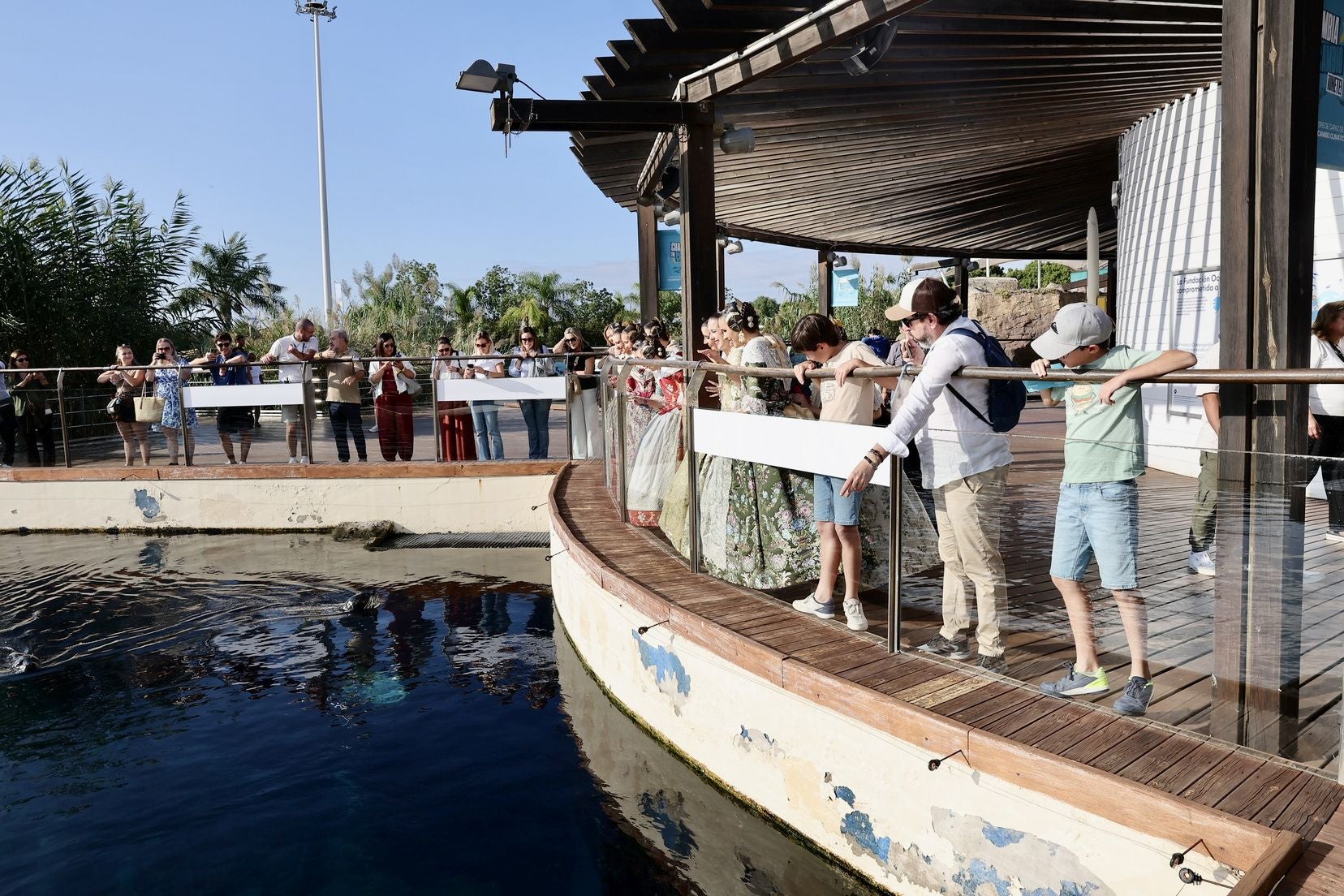 Las candidatas a fallera mayor de Valencia visitan l&#039;Oceanogràfic