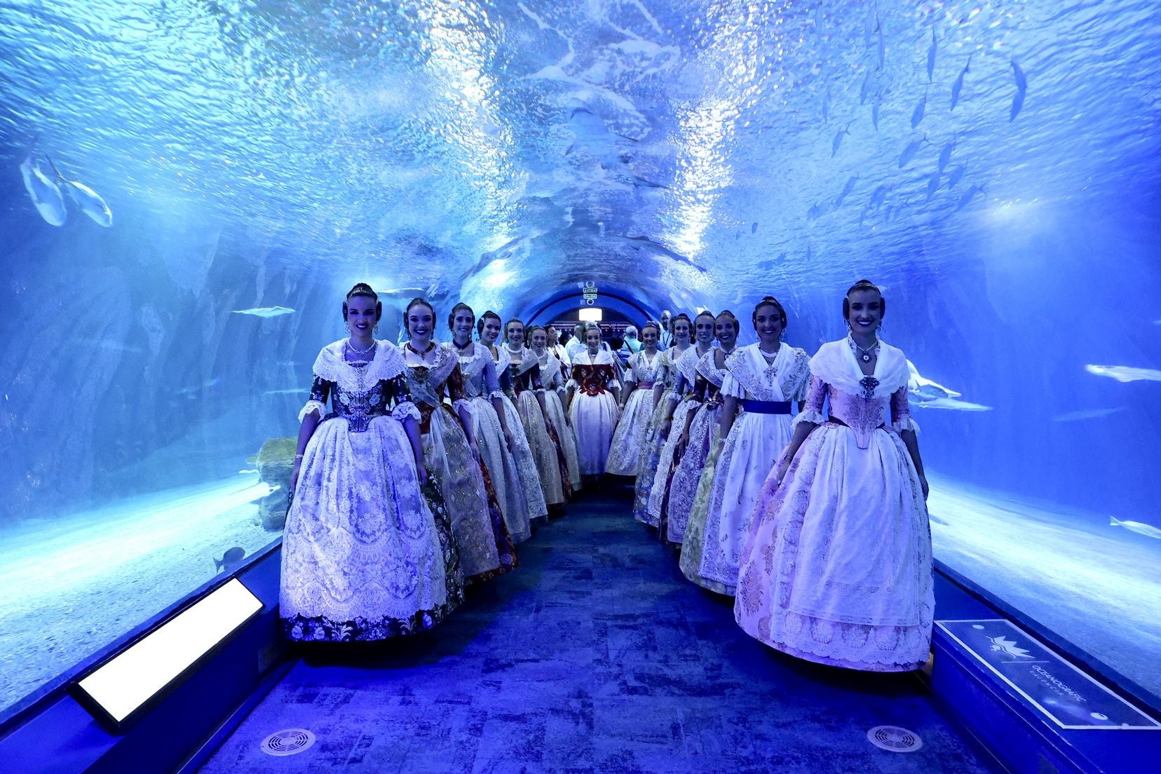 Las candidatas a fallera mayor de Valencia visitan l&#039;Oceanogràfic