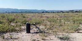 Zona en la que se ubicará la planta solar en Ontinyent.