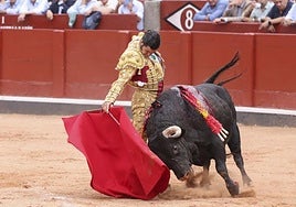 Morante de la Puebla, en un reunido muletazo.