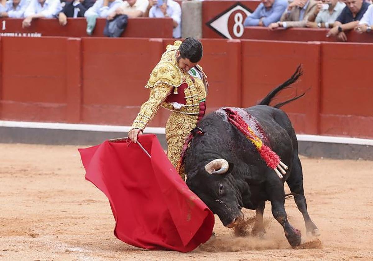 Morante de la Puebla, en un reunido muletazo.