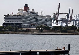 Un crucero atracado en Valencia, en una imagen de archivo.