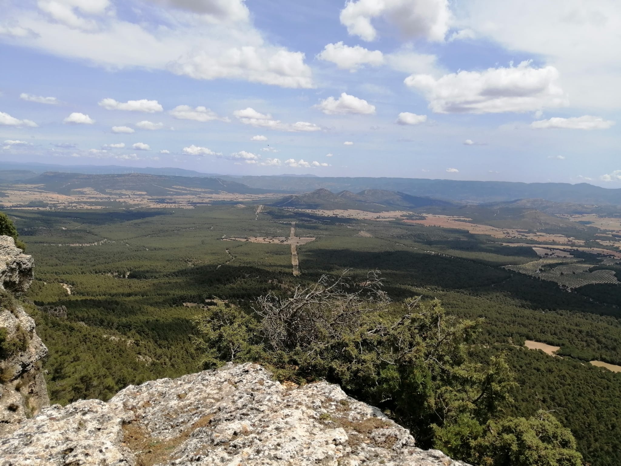 Una de las zonas del Valle de Ayora donde hay proyectas plantas fotovoltacias.