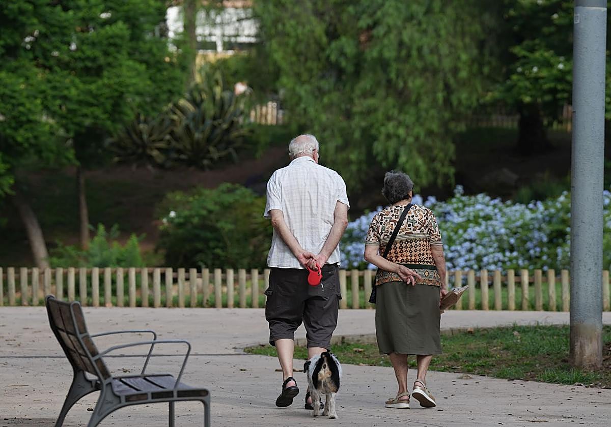 Dos personas pasean con su perro.