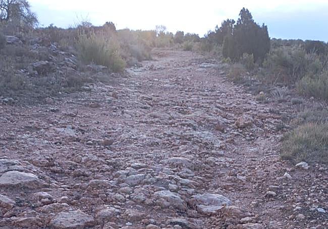 Uno de los caminos arrasados por la dana.