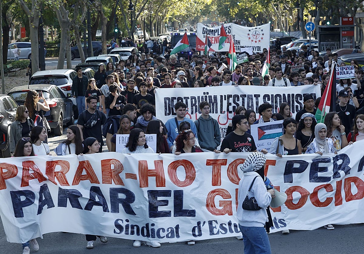 Vista general de la manifestación propalestina de este miércoles en Valencia.