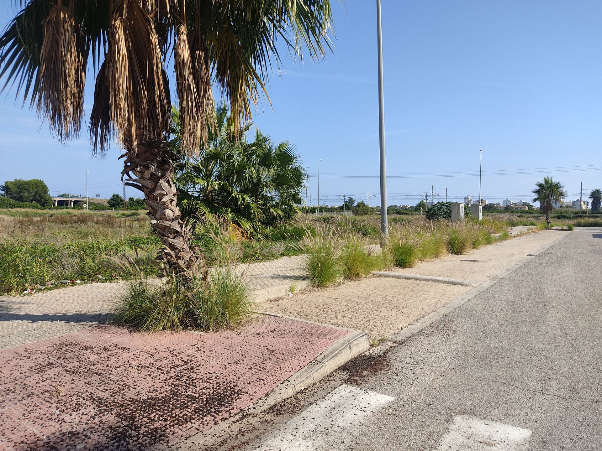 Una de las zonas que quedó anegada por las riadas del 29-O.