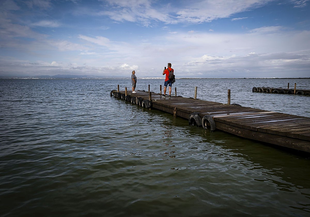 Una pareja se hace fotos en la Albufera.