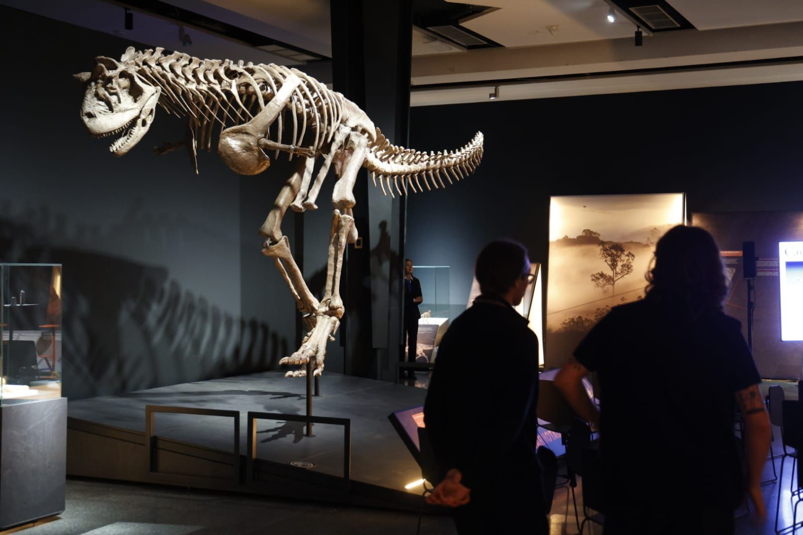 Fotos de la exposición &#039;Dinosaurios de la Patagonia&#039; en CaixaForum
