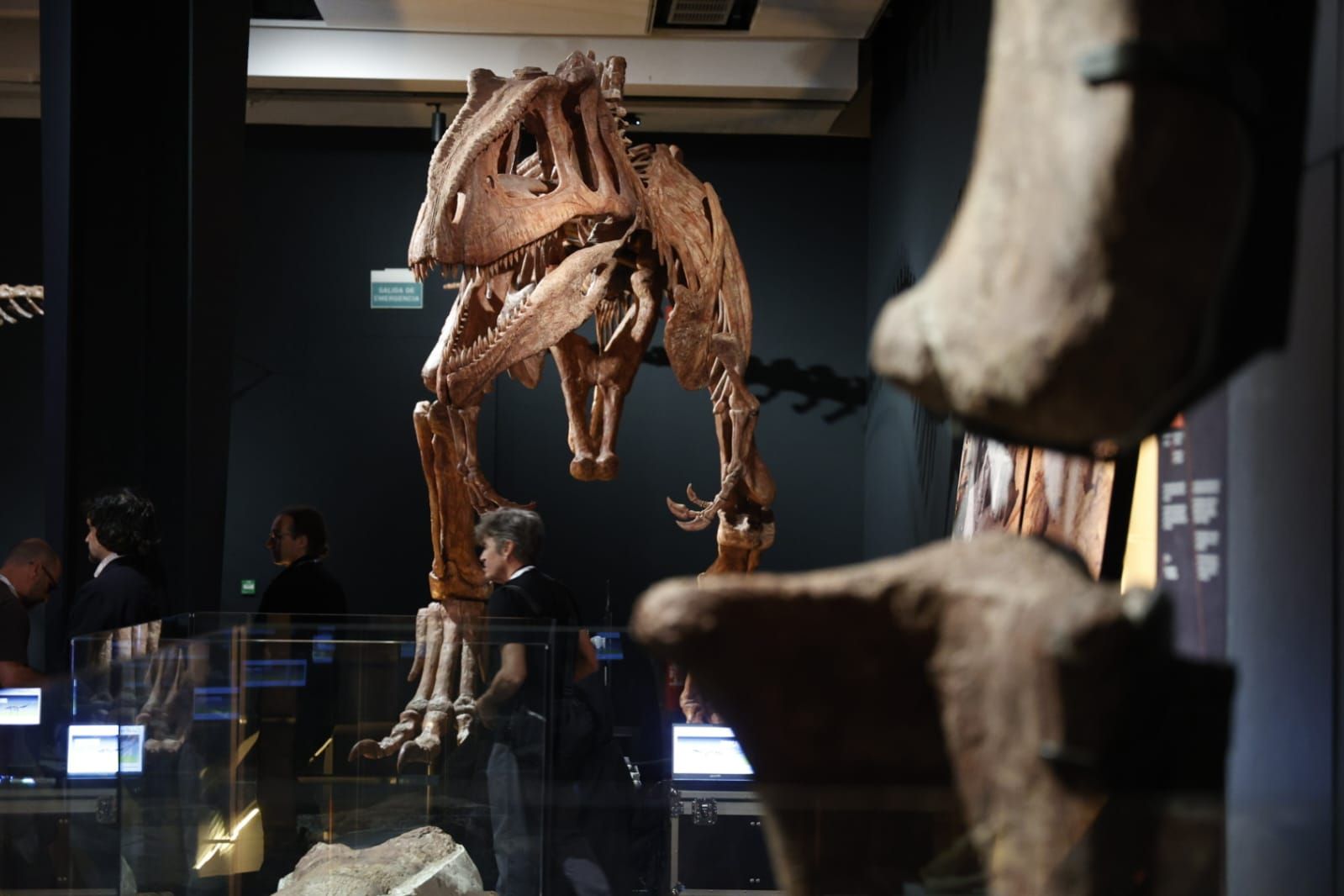 Fotos de la exposición &#039;Dinosaurios de la Patagonia&#039; en CaixaForum