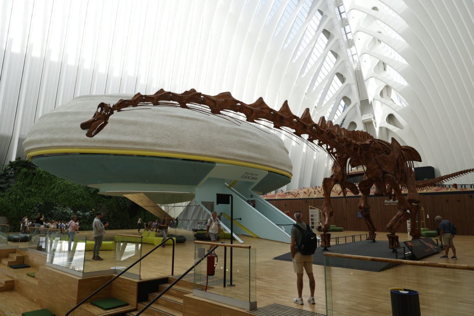 Fotos de la exposición &#039;Dinosaurios de la Patagonia&#039; en CaixaForum