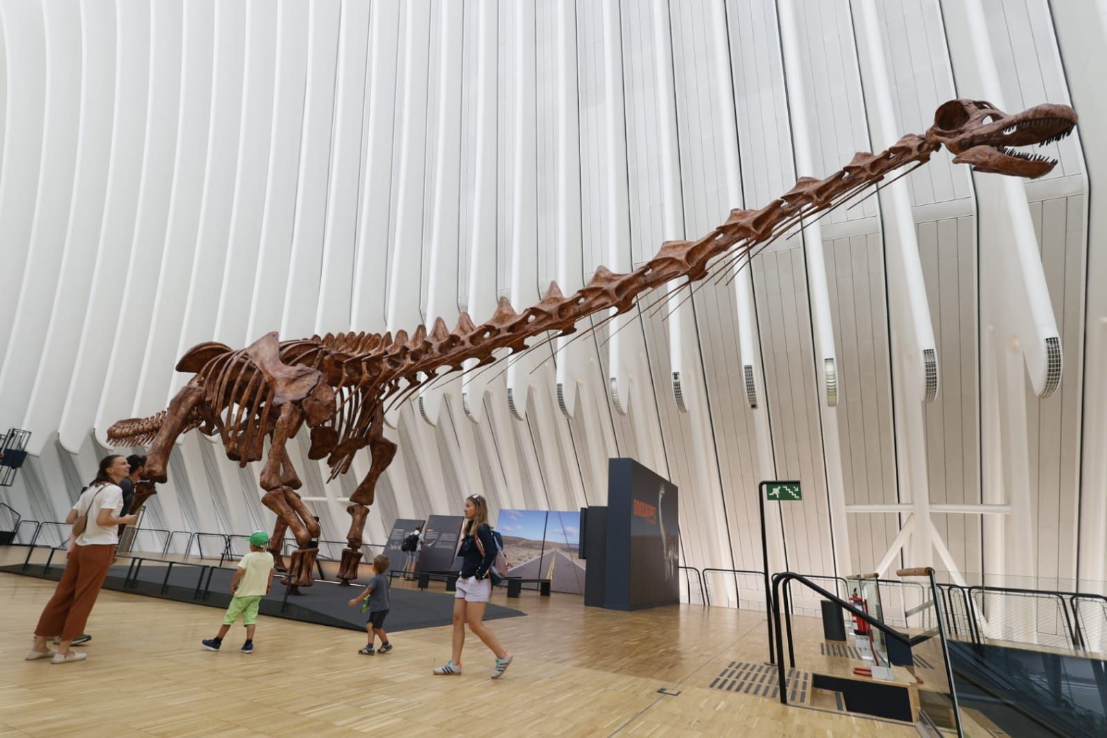 Fotos de la exposición &#039;Dinosaurios de la Patagonia&#039; en CaixaForum