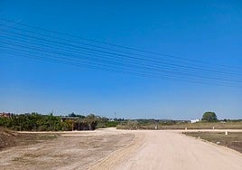 Trabajos de recuperación en los caminos rurales dañados por la dana.