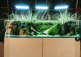 Acuario de agua dulce de l'Oceanogràfic.