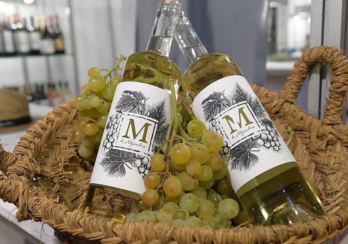 El vino M de Alejandría.