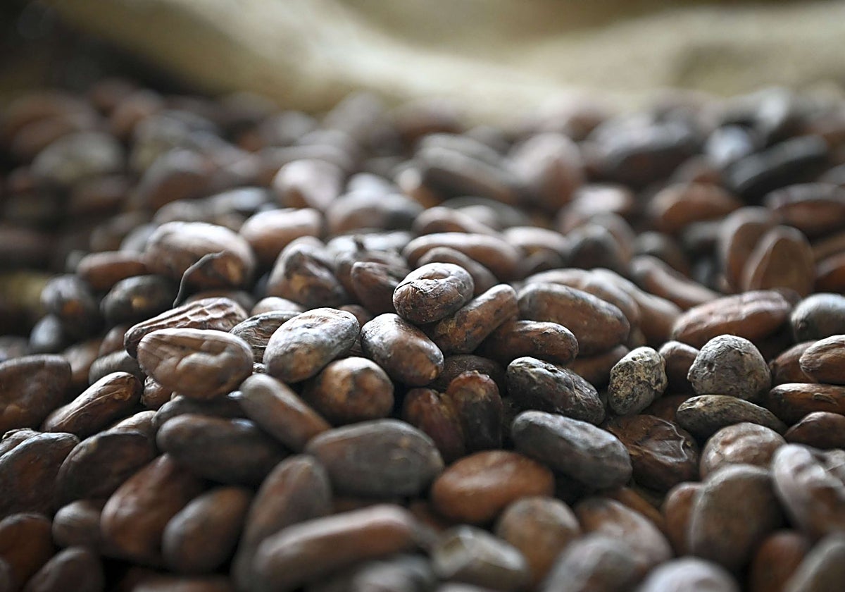 El precio del cacao se ha multiplicado por cuatro en los últimos dos años.