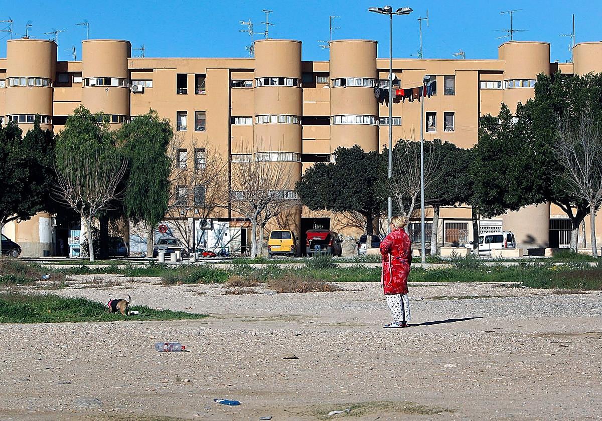 Viviendas en el barrio Los Palmerales.