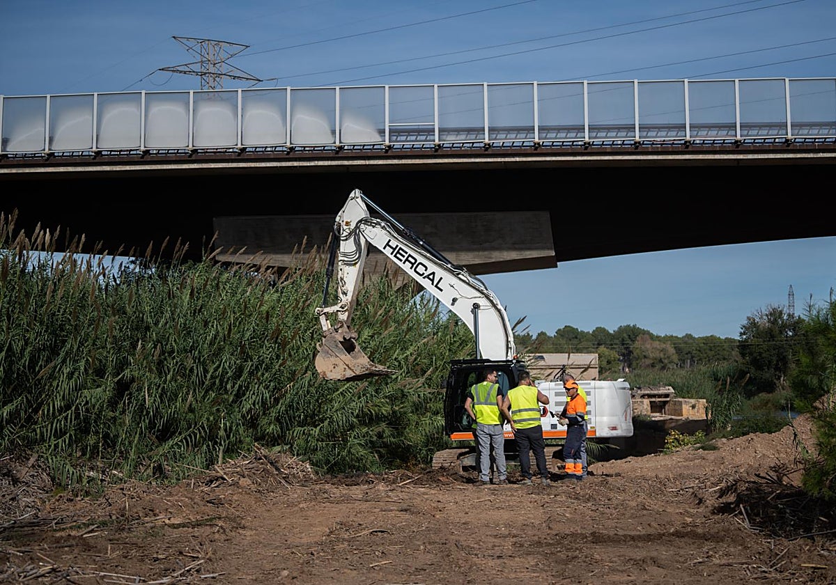 Varios trabajadores en la zona donde apareció el cadáver momificado.