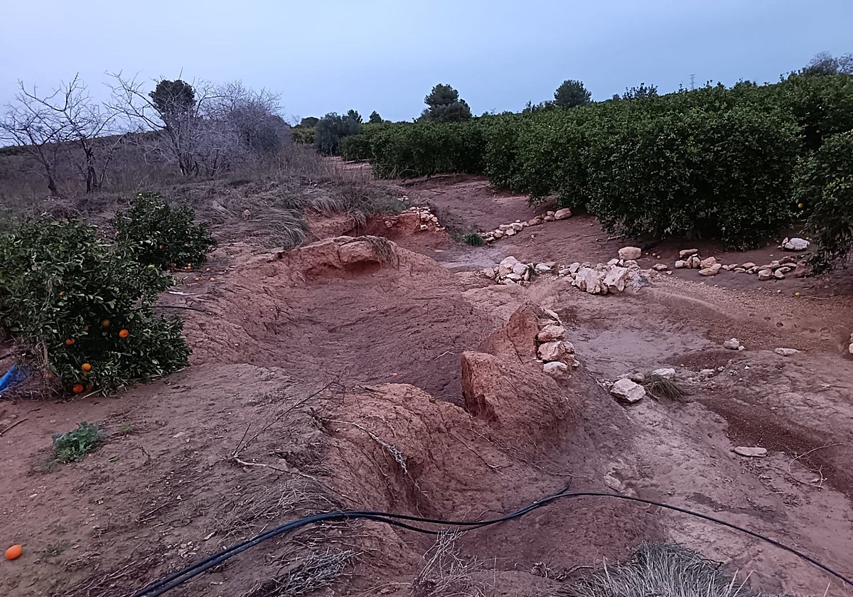 Estado en el que se encuentra su campo.