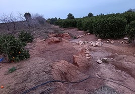 Estado en el que se encuentra su campo.