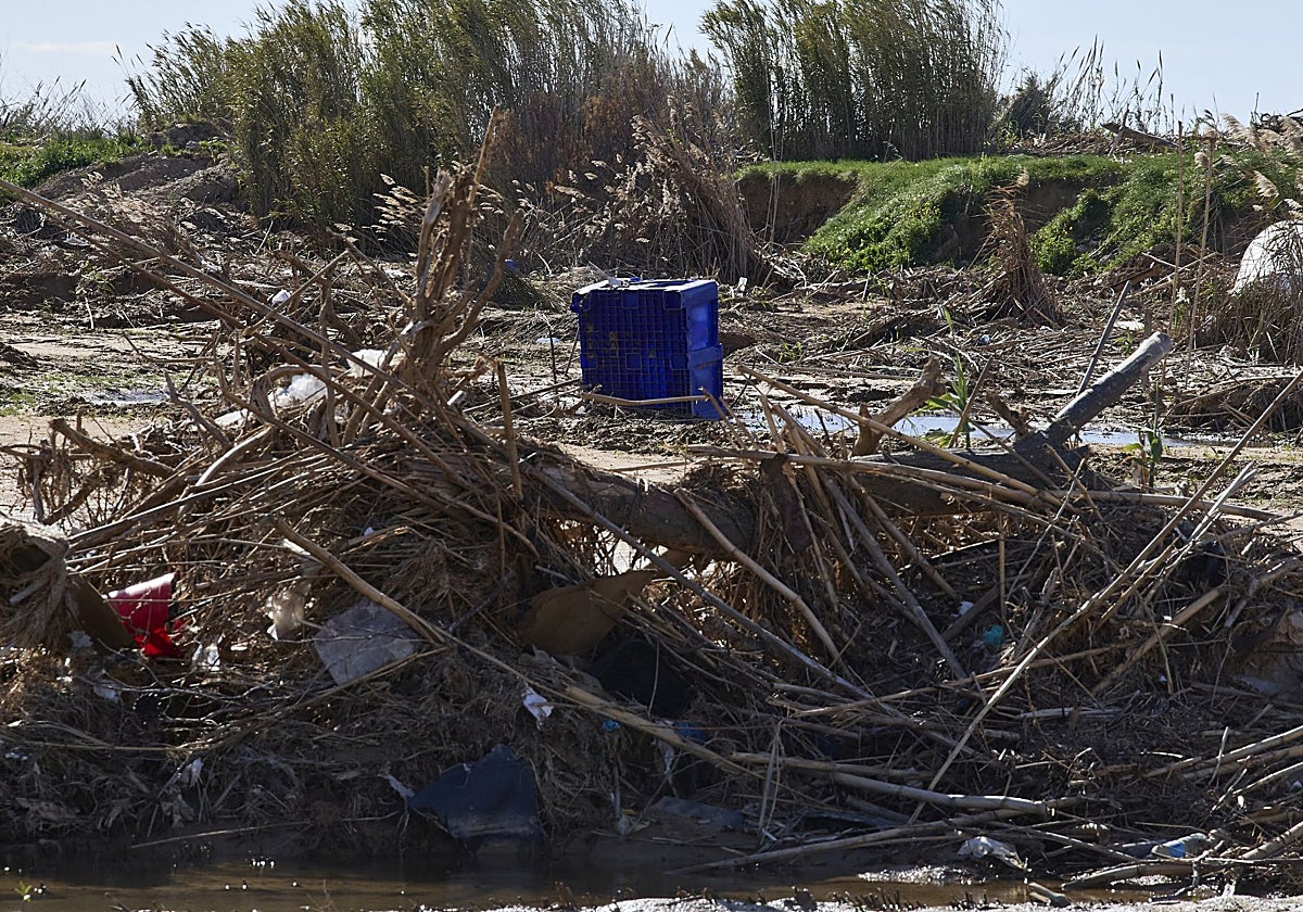 Vertidos de la dana en Albufera.