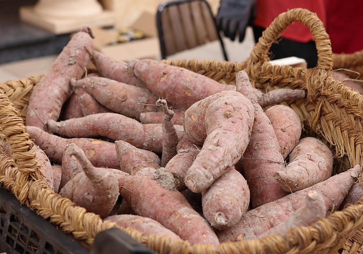 Boniatos en una imagen de archivo.