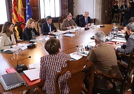 Reunión del pleno del Consell, en una imagen de archivo.