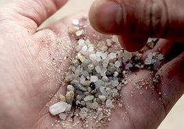 Pellets mezclados con arena gruesa en Galicia, en 2024.
