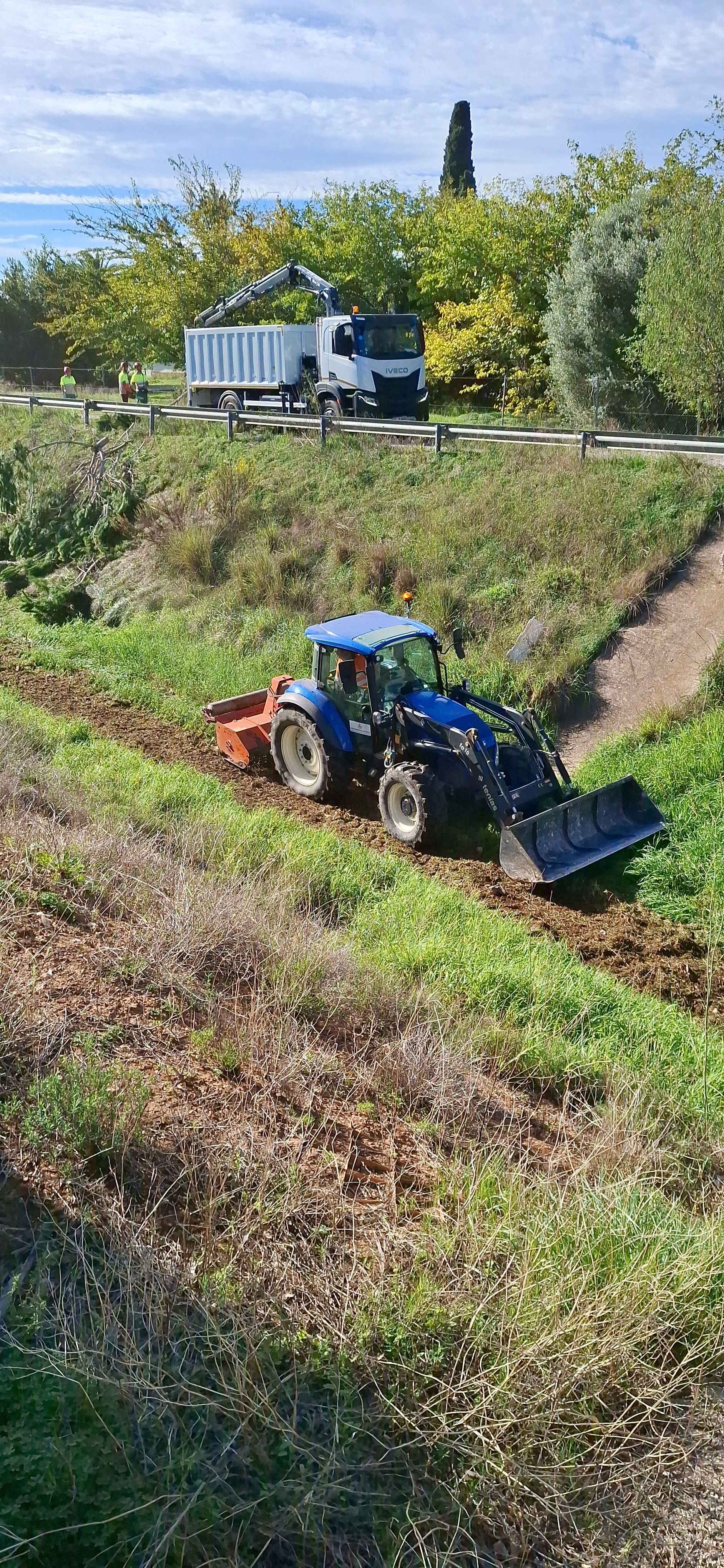 Limpieza del barranco del Palmaret