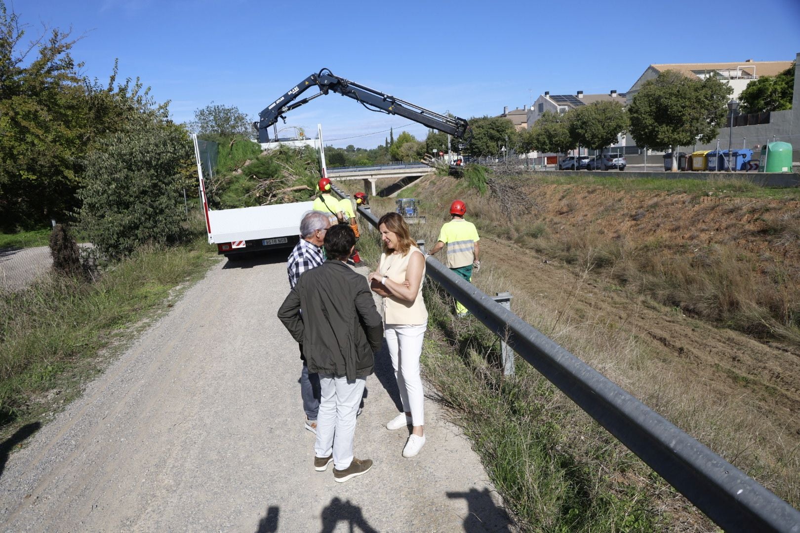 Limpieza del barranco del Palmaret