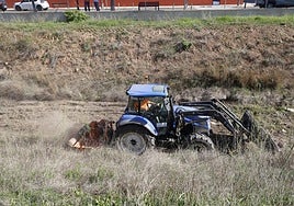 Limpieza del barranco del Palmaret