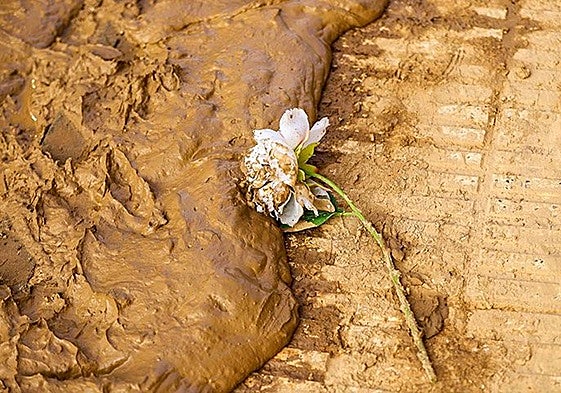 229 nombres en nuestra memoria