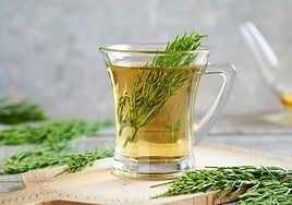 Infusión de cola de caballo en una imagen de archivo.