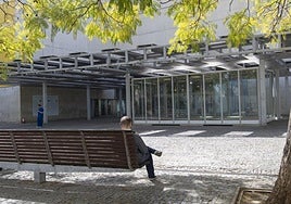 Patio trasero del entorno del MuVIM.