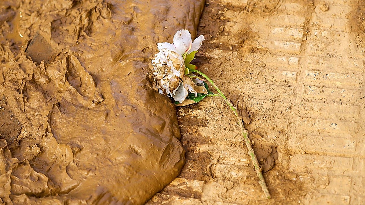 229 nombres en nuestra memoria