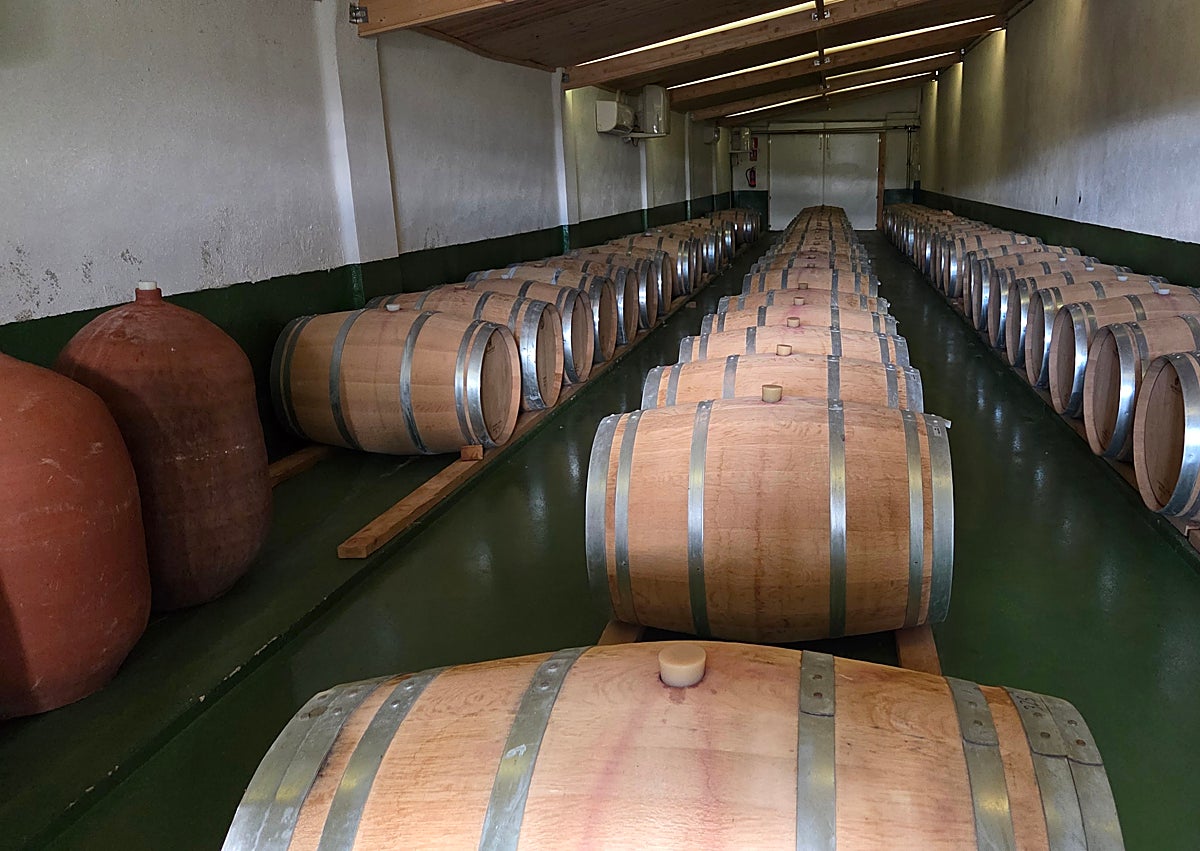 Imagen secundaria 1 - La bodega de Requena que alumbra vinos con alma