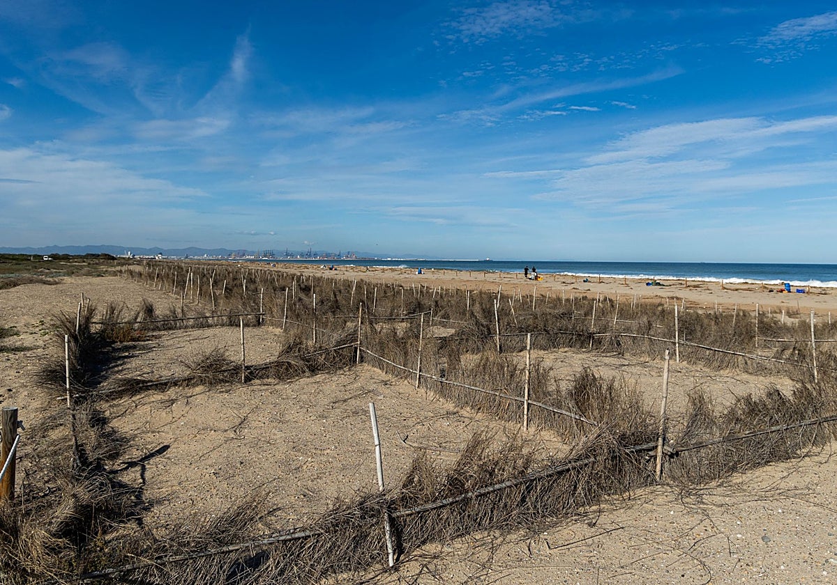 Dunas de las playas de El Saler.