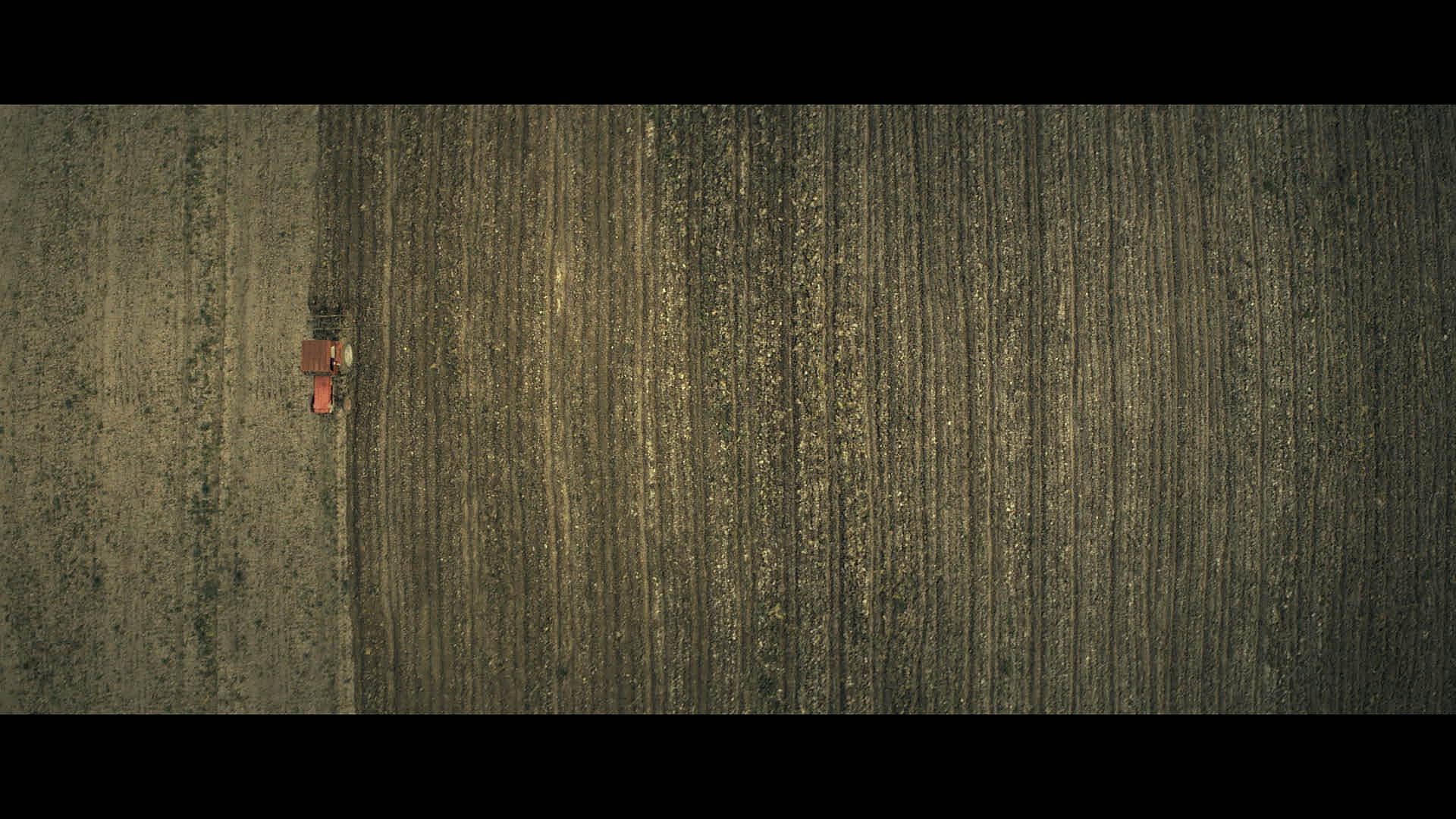 FOTOS | &#039;Dime tu nombre&#039;, la nueva serie de terror de Prime Video