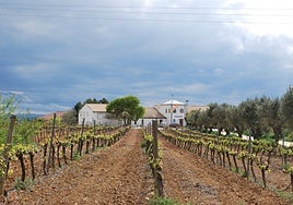 La bodega y su terruño.