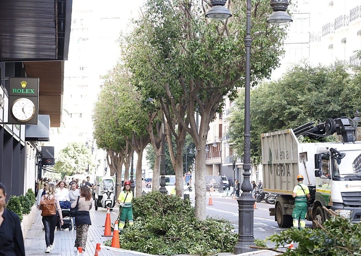Imagen secundaria 1 - Tarea de poda con vehículos con cesta, en la calle Colón.