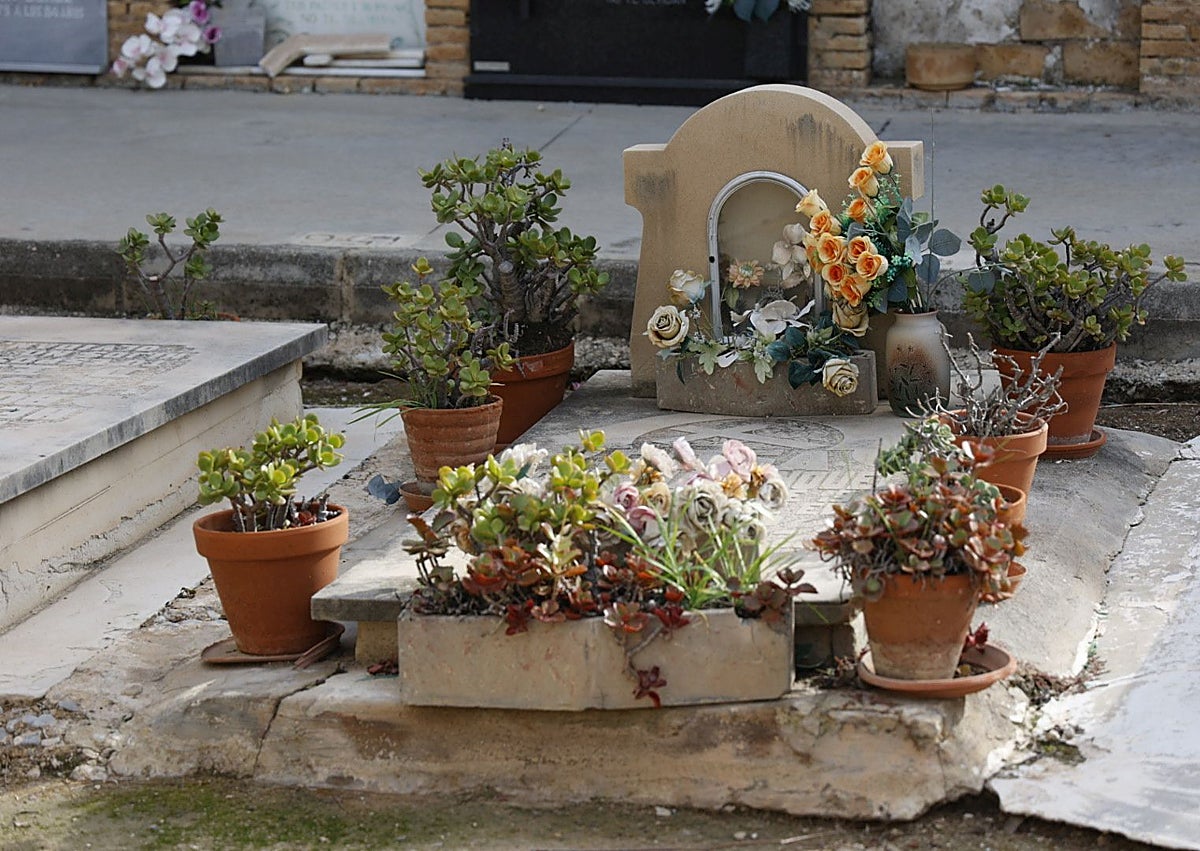 Imagen secundaria 1 - Entrada al Cementerio del Cabanyal y escultura del Doctor Lluch.