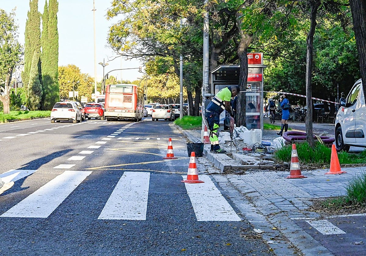 Imagen principal - Inicio de las obras para poner señalética, semáforos inteligentes y detectores, en la avenida de Blasco Ibáñez.
