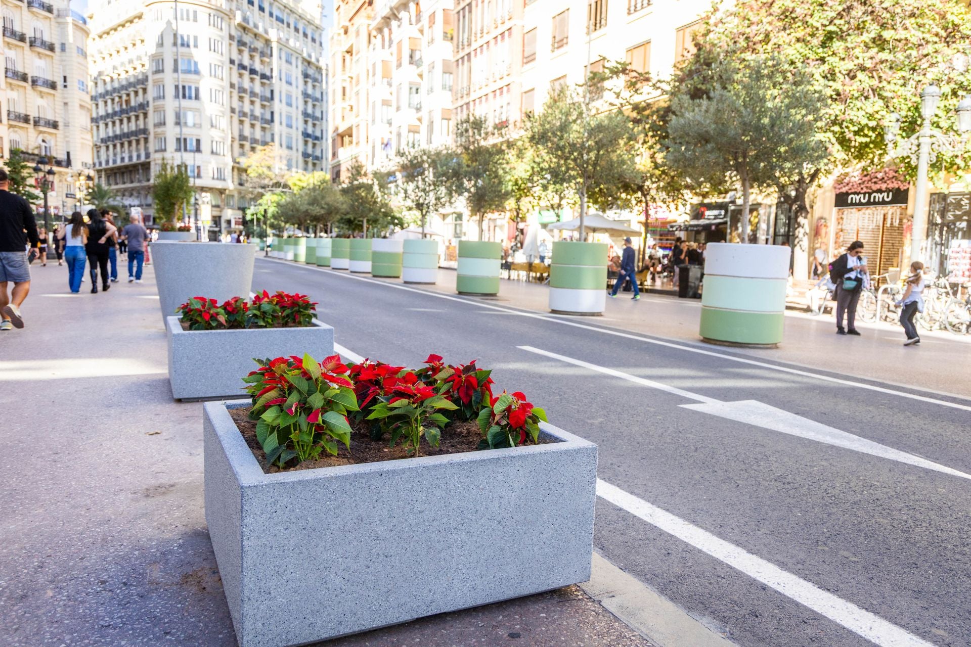 Fotos de los nuevos maceteros en la plaza del Ayuntamiento de Valencia