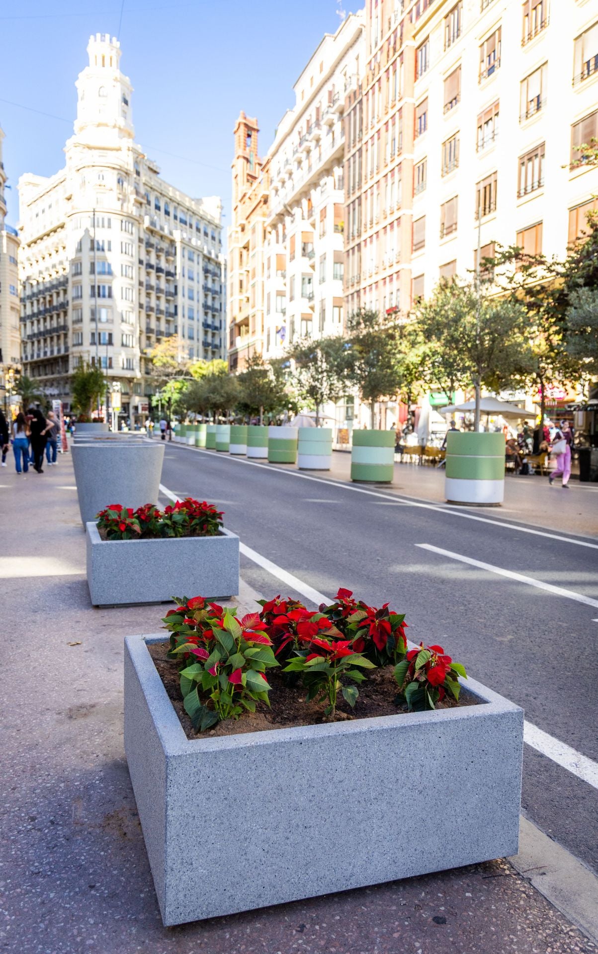 Fotos de los nuevos maceteros en la plaza del Ayuntamiento de Valencia
