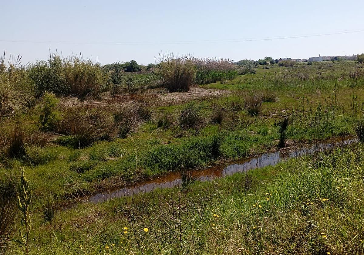 Estado del barranco del Tramusser.