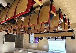 Jornada celebrada en la sede de Femeval.