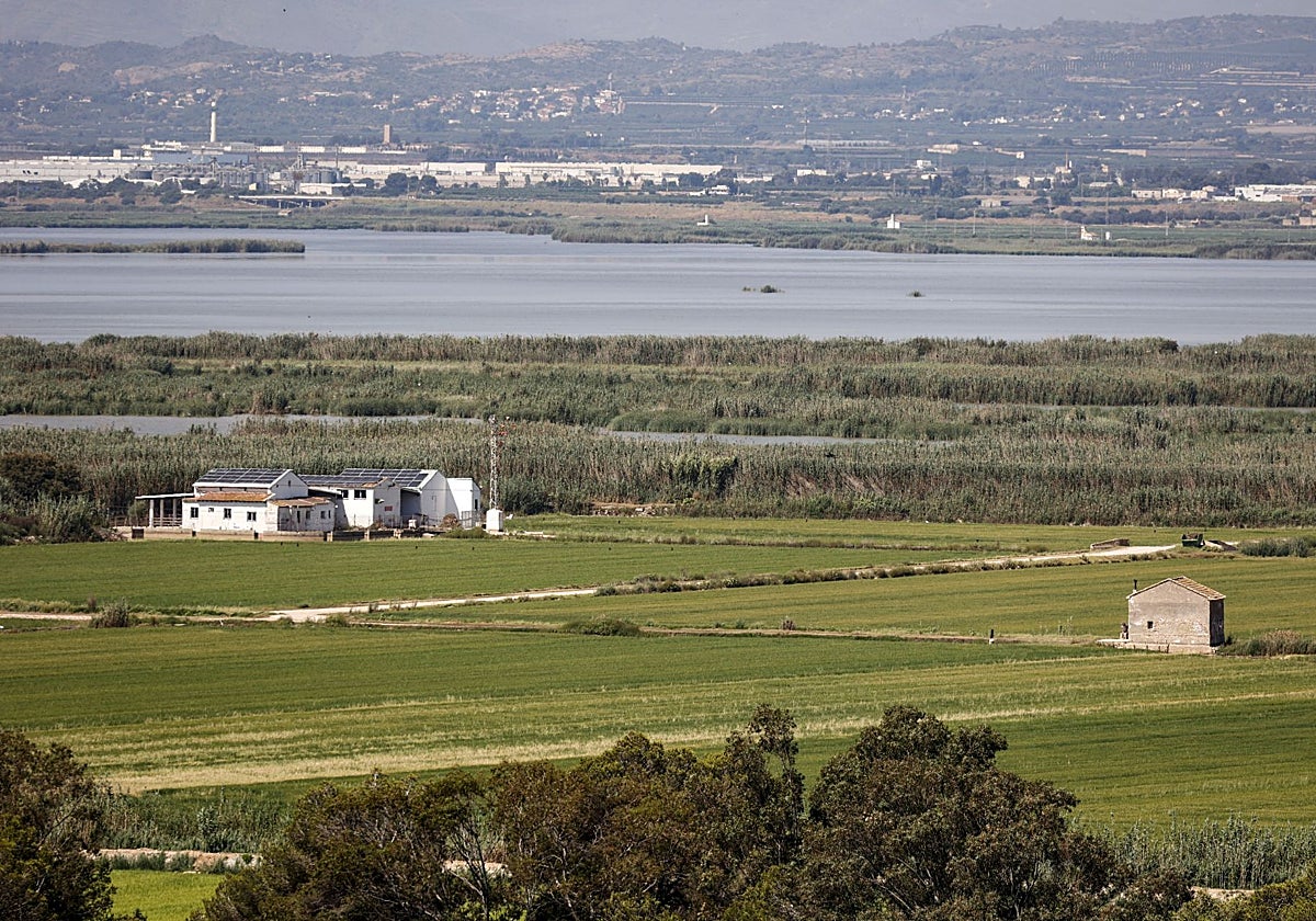 Imagen de archivo de parcelas junto a la laguna de la Albufera.