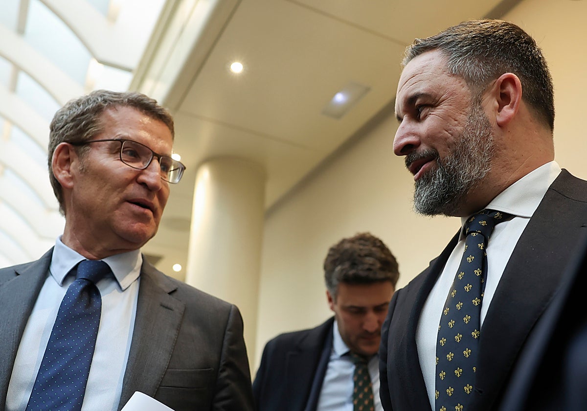 Alberto Núñez Feijóo y Santiago Abascal.